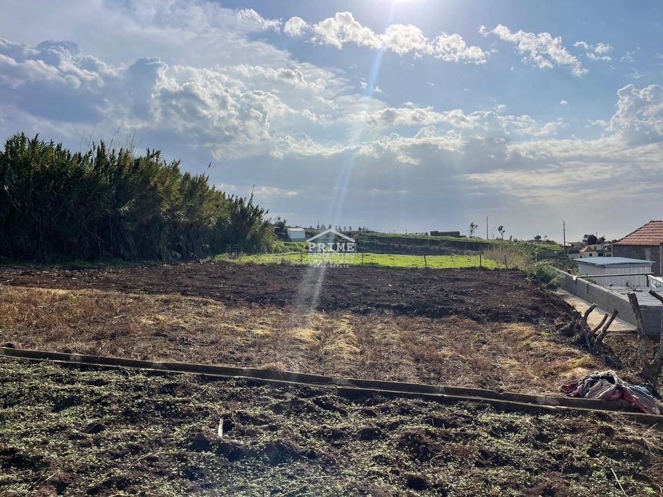 Villa i Calheta, Madeira - foto 5