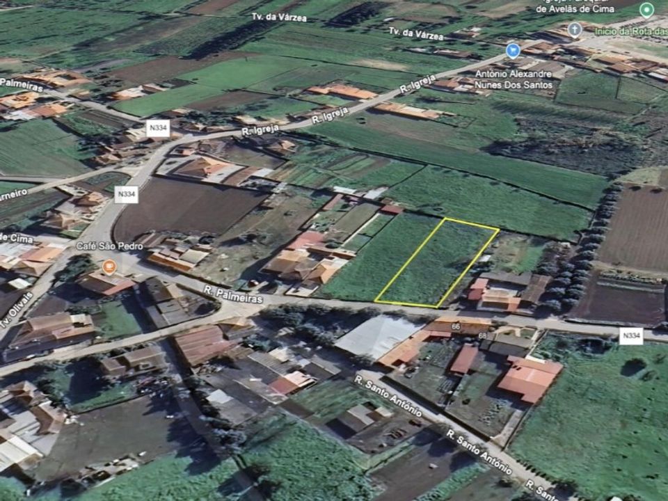 Helårsgrund i Anadia, Aveiro - foto 3