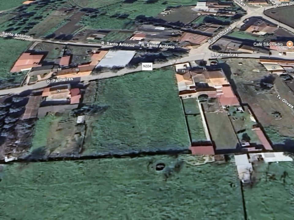 Helårsgrund i Anadia, Aveiro - foto 5