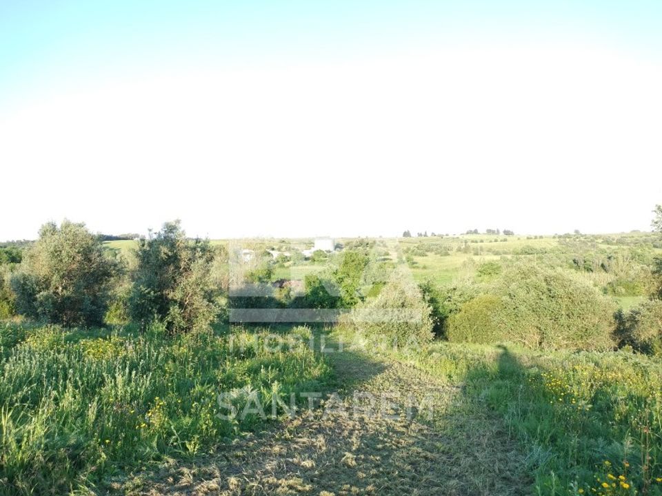 Helårsgrund i Alcanhoes, Santarem - foto 4