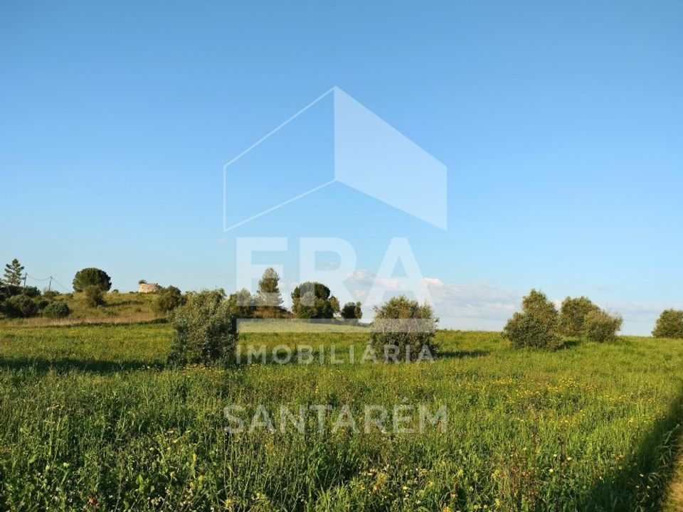 Helårsgrund i Alcanhoes, Santarem - foto 5