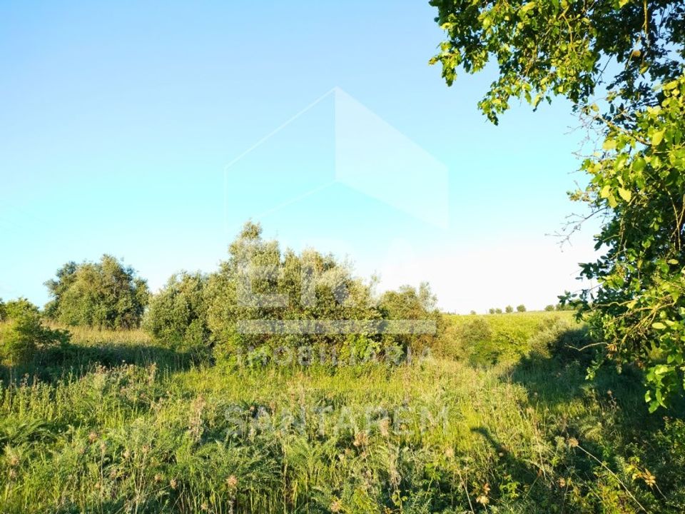 Helårsgrund i Alcanhoes, Santarem - foto 1
