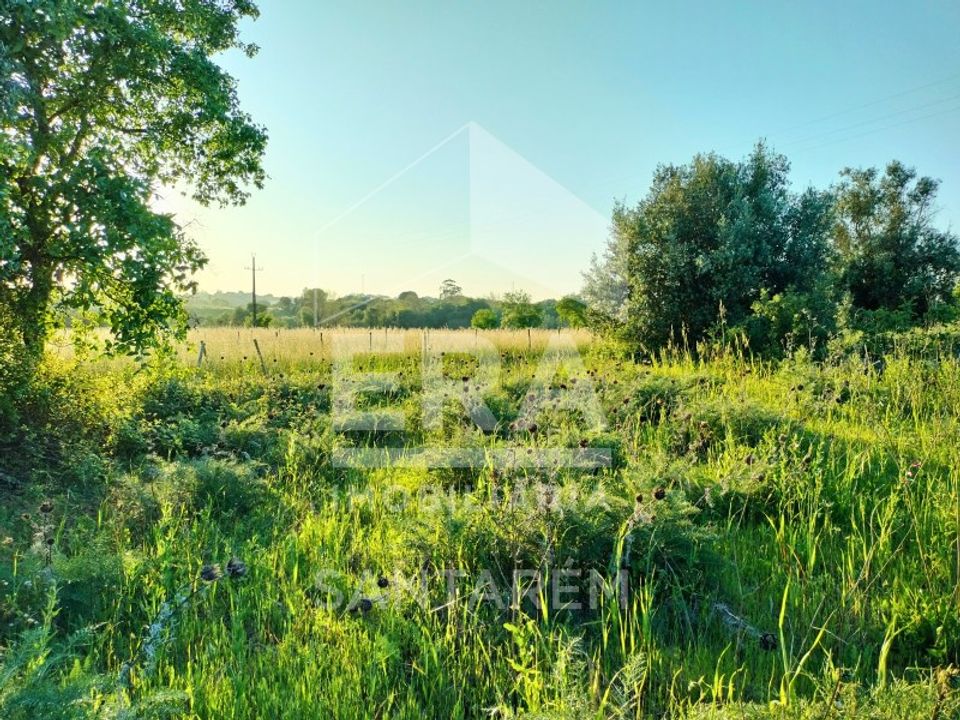 Helårsgrund i Alcanhoes, Santarem - foto 2