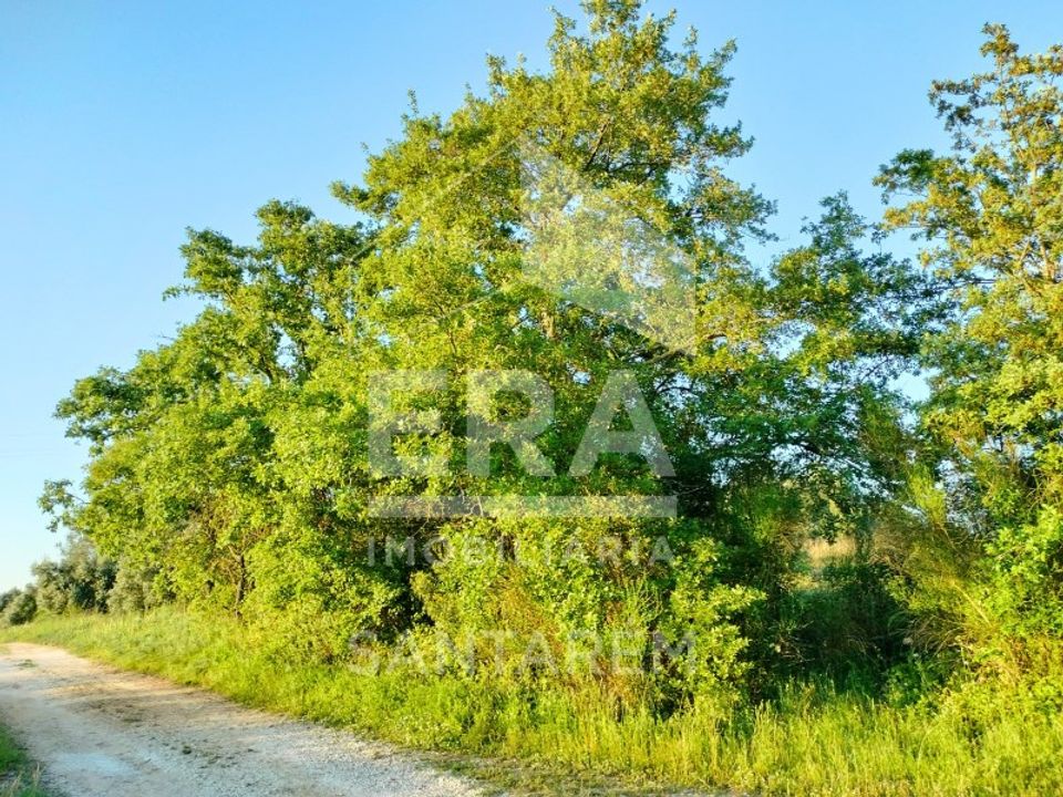 Helårsgrund i Alcanhoes, Santarem - foto 3
