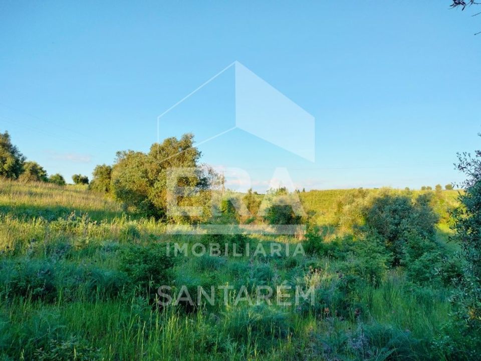 Helårsgrund i Alcanhoes, Santarem - foto 4