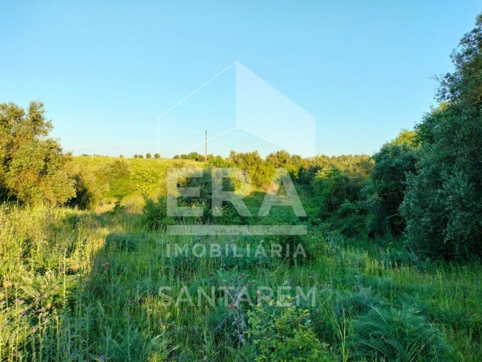 Helårsgrund i Alcanhoes, Santarem - foto 5
