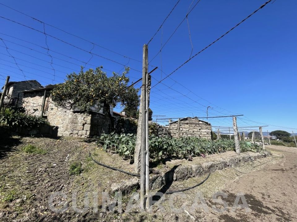 Farm i Guimaraes, Braga - foto 3