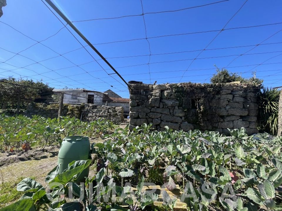 Farm i Guimaraes, Braga - foto 5
