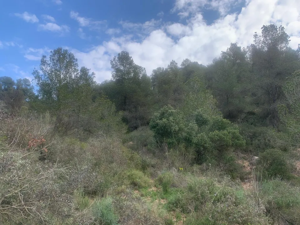 Helårsgrund i Garcia, Tarragona - foto 3