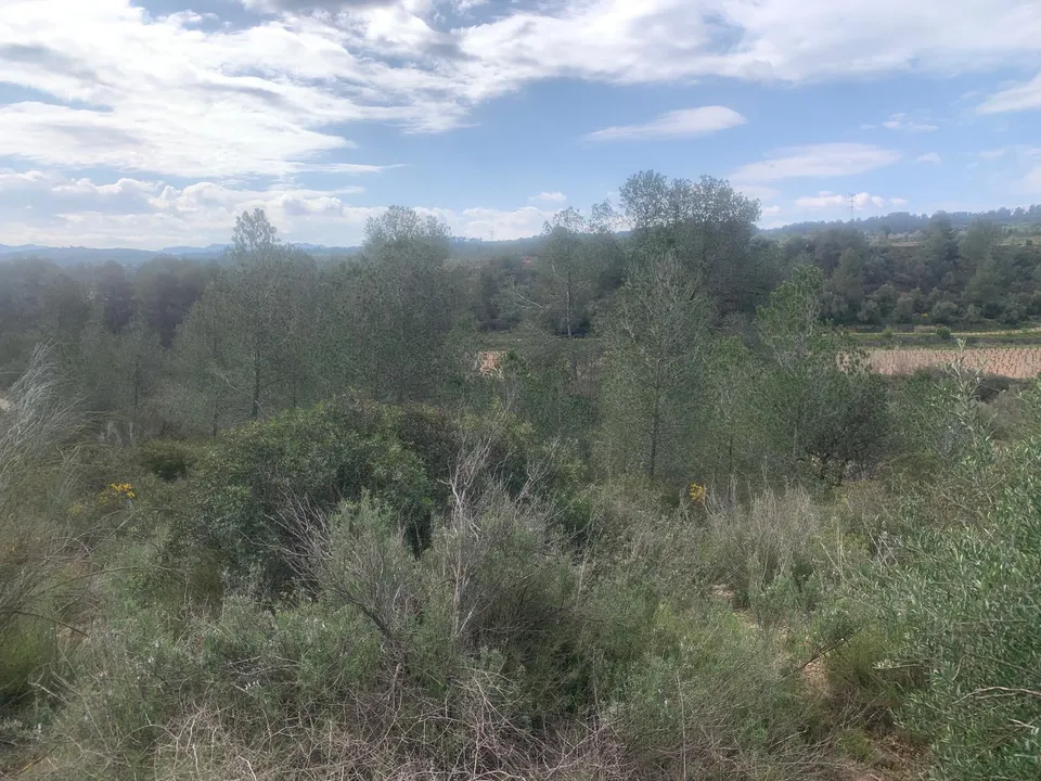 Helårsgrund i Garcia, Tarragona - foto 4