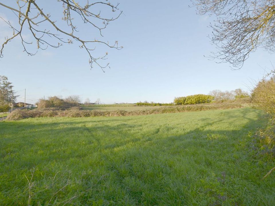 Helårsgrund i La Bretonniere-La-Claye, Vendee - foto 3