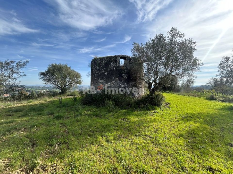 Grond in Assentiz, Santarem - foto 3