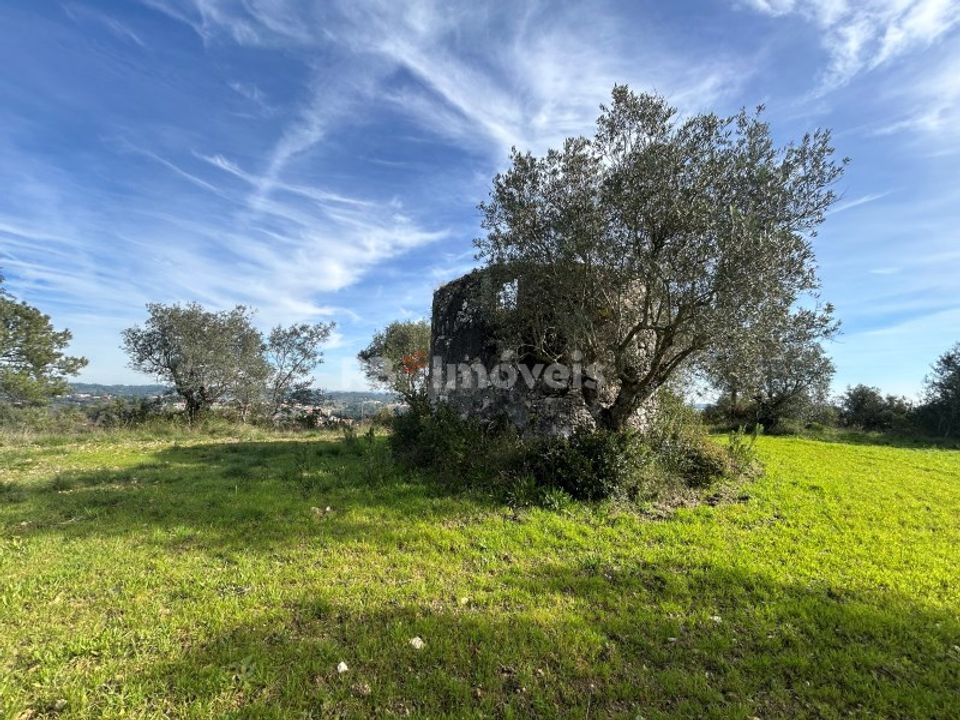 Grond in Assentiz, Santarem - foto 4