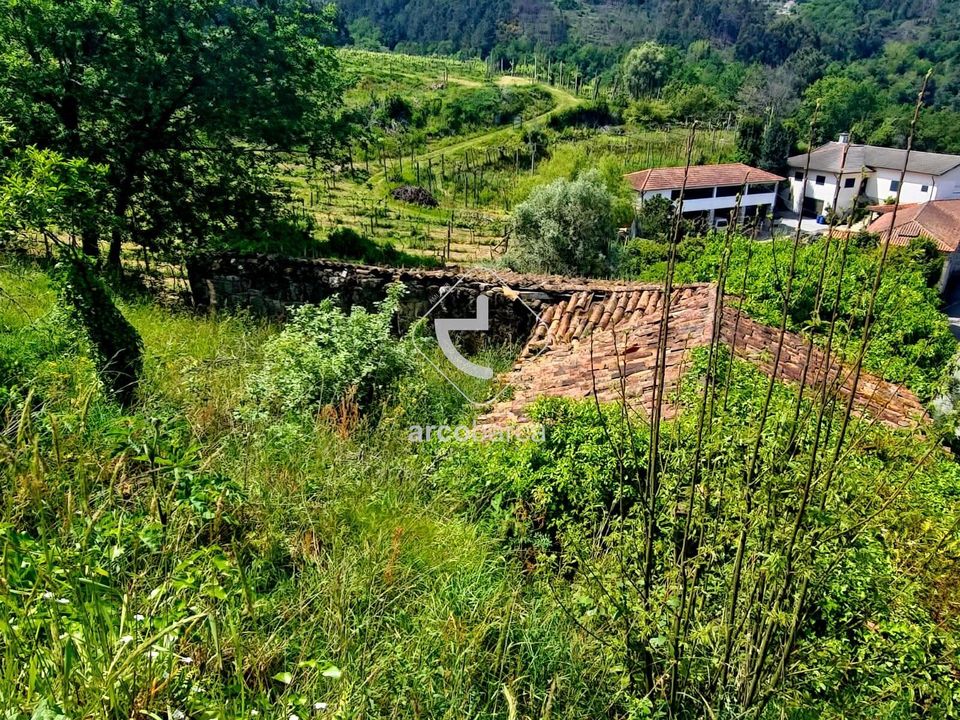 Farm i Ponte da Barca, Viana do Castelo - foto 4