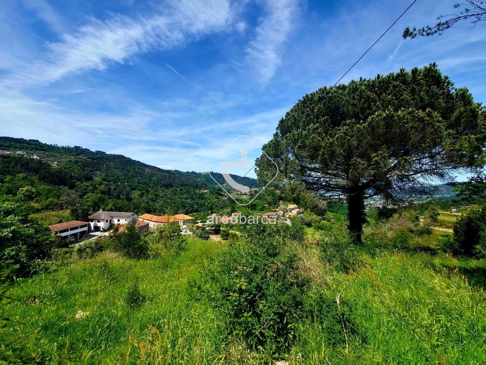 Farm i Ponte da Barca, Viana do Castelo - foto 3