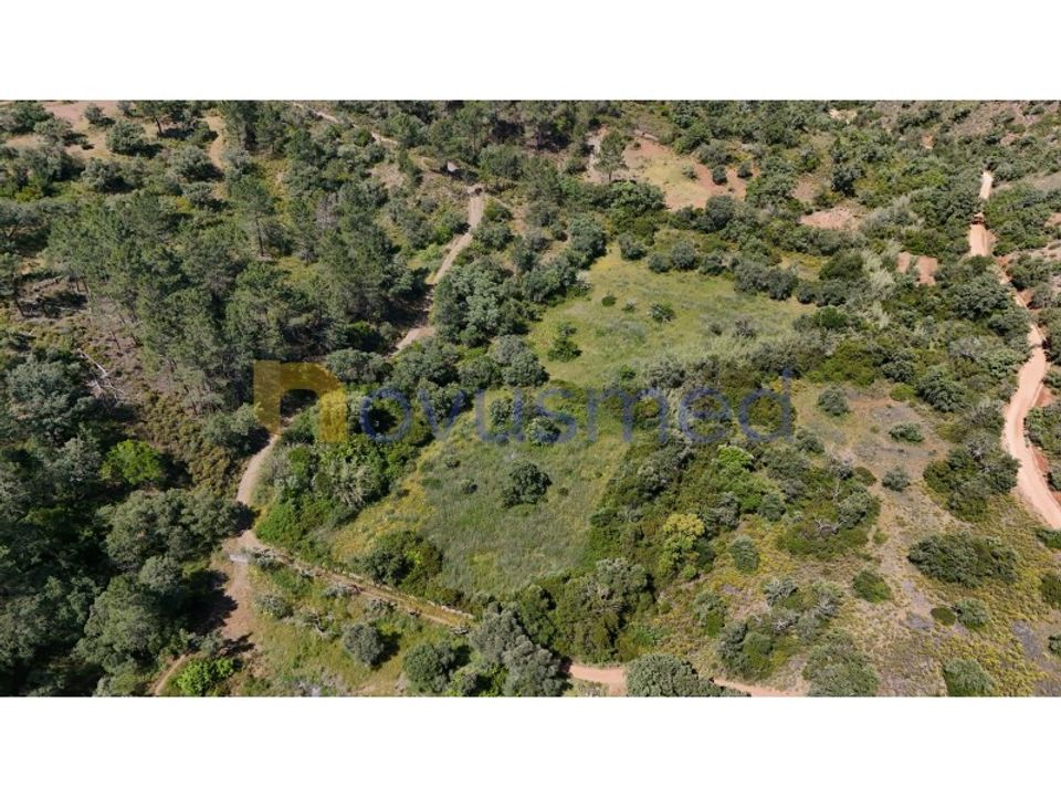 Terra a Loule, Faro - foto 1