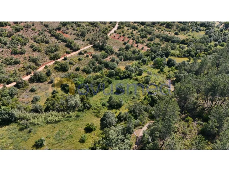 Terra a Loule, Faro - foto 3