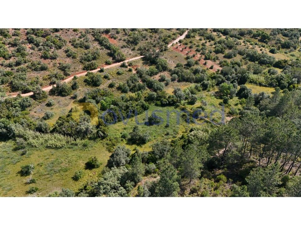 Terra a Loule, Faro - foto 4