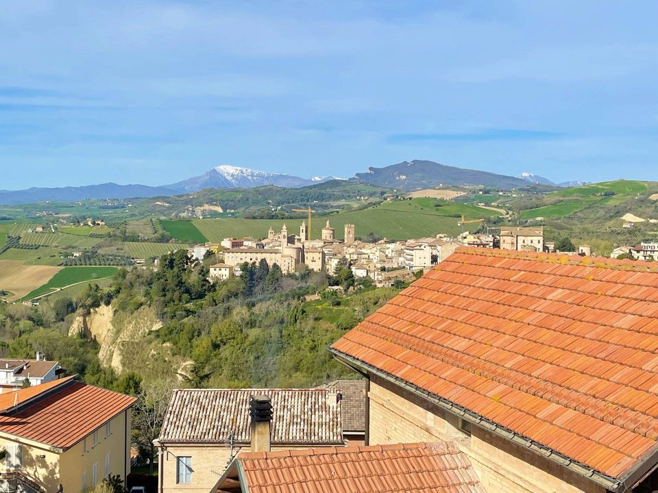 Villa - Offida, Ascoli Piceno - photo 4