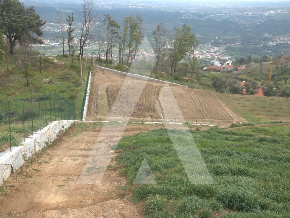 Farm i Guardao, Viseu - foto 1