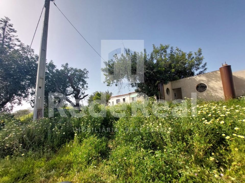 Granja a Estoi, Faro - foto 2