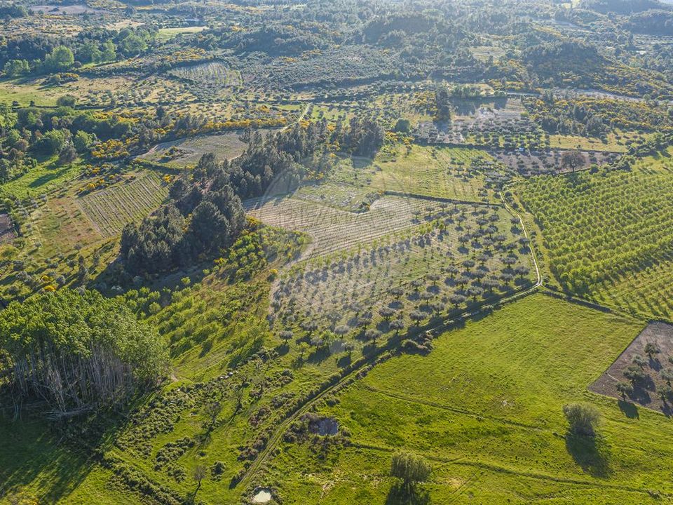 Helårsgrund i Valpacos, Vila Real - foto 2