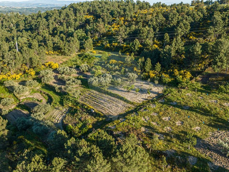 Helårsgrund i Valpacos, Vila Real - foto 3