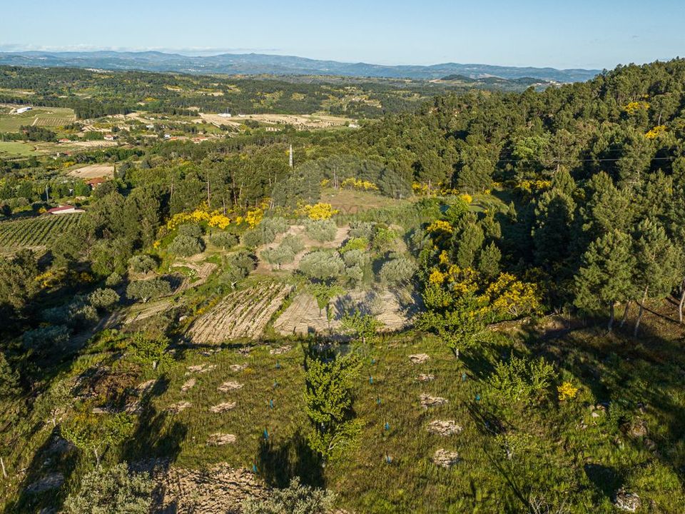 Helårsgrund i Valpacos, Vila Real - foto 4
