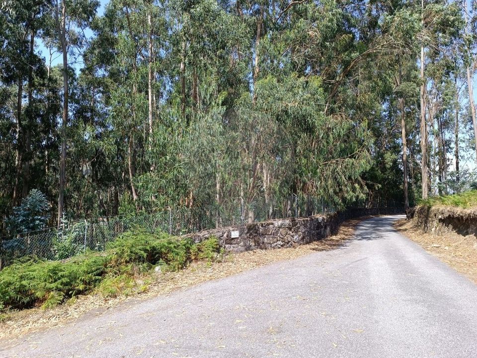 Helårsgrund i Vila Verde, Braga - foto 5