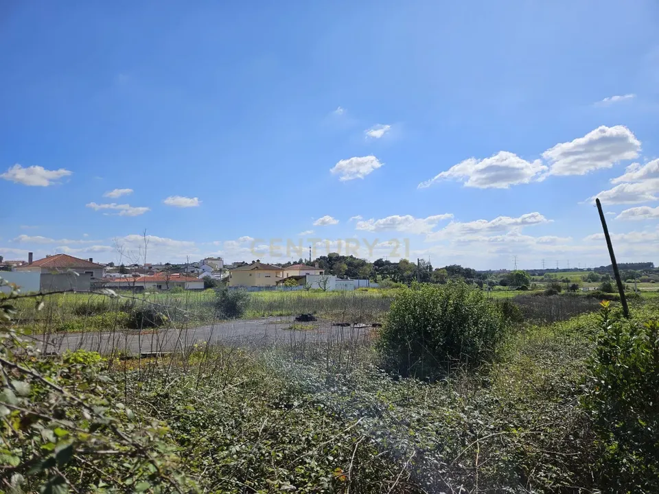 Helårsgrund i Torres Novas, Santarem - foto 4