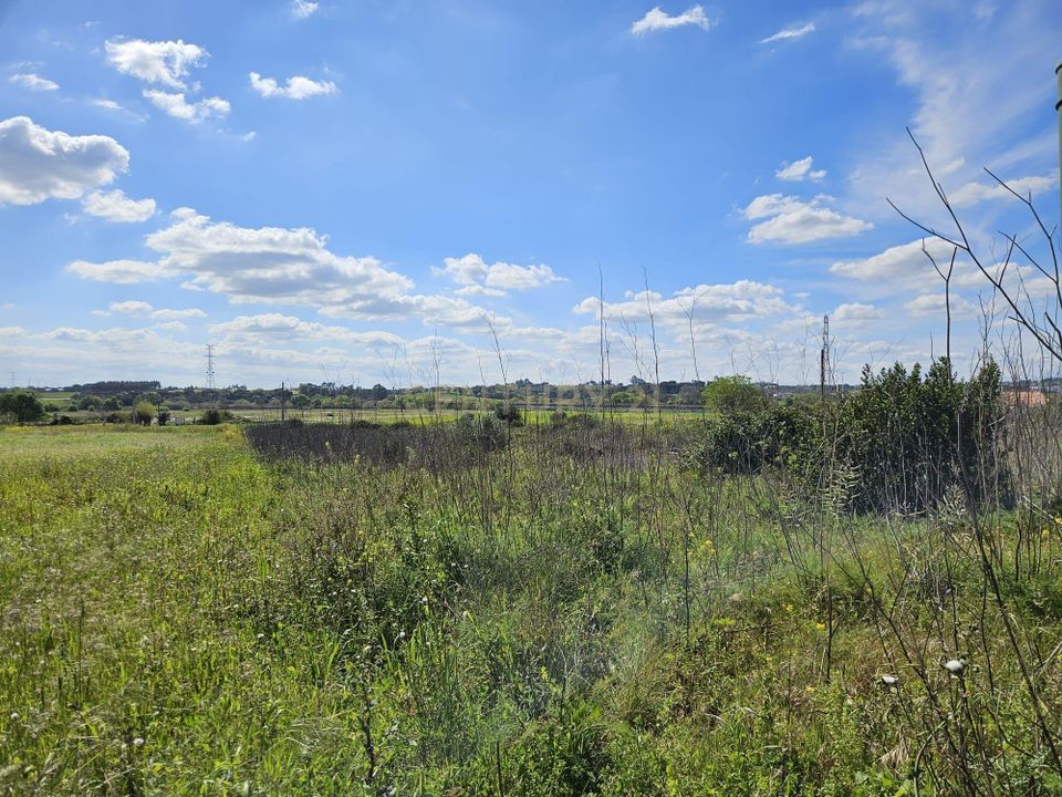 Helårsgrund i Torres Novas, Santarem - foto 5