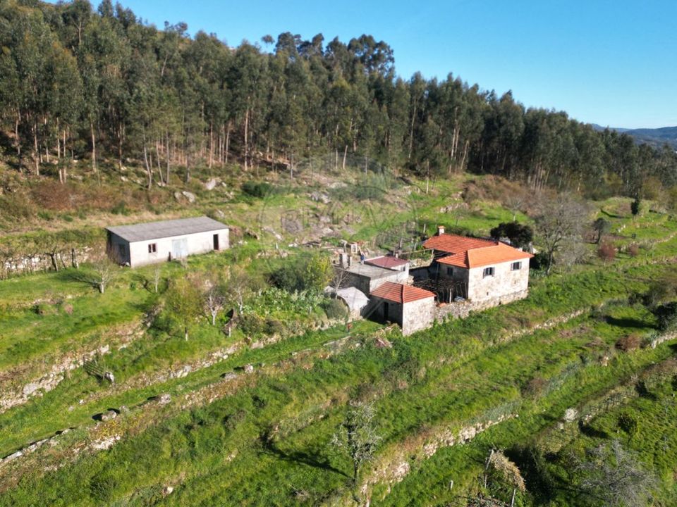 Farm i Paredes de Coura, Viana do Castelo - foto 2
