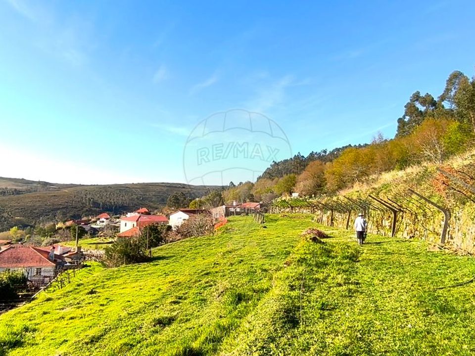 Farm i Paredes de Coura, Viana do Castelo - foto 4