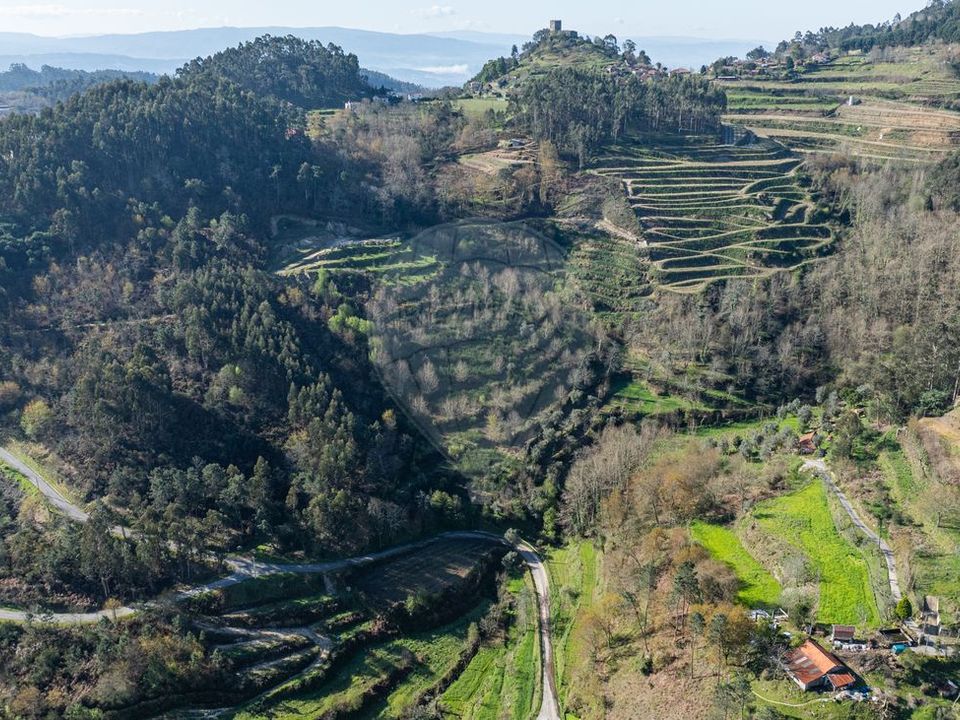 Farm i Celorico de Basto, Braga - foto 1