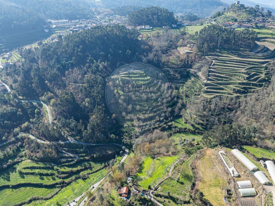Farm i Celorico de Basto, Braga - foto 3