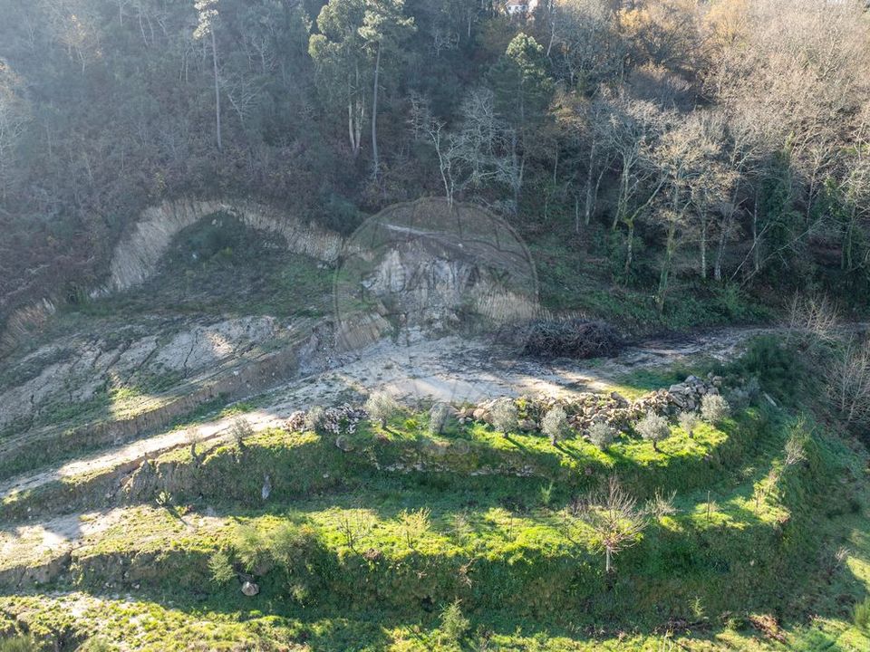 Farm i Celorico de Basto, Braga - foto 4