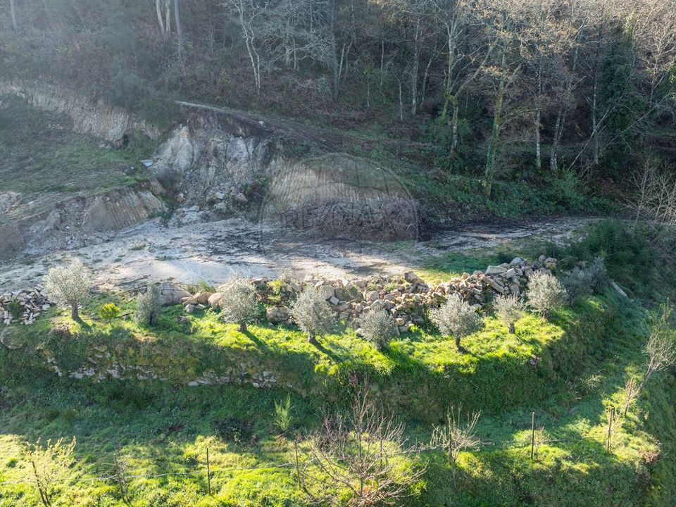 Farm i Celorico de Basto, Braga - foto 5