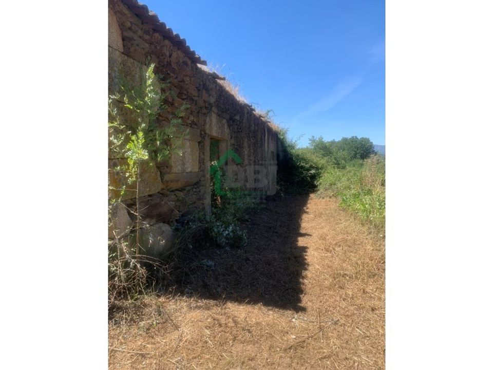 Farm i Fundao, Castelo Branco - foto 2