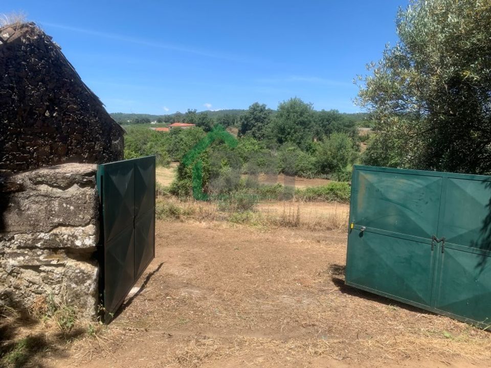 Farm i Fundao, Castelo Branco - foto 5