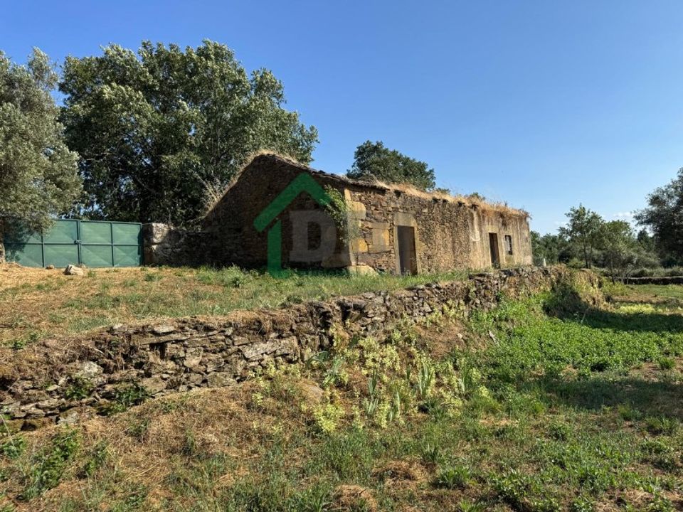 Farm i Fundao, Castelo Branco - foto 1