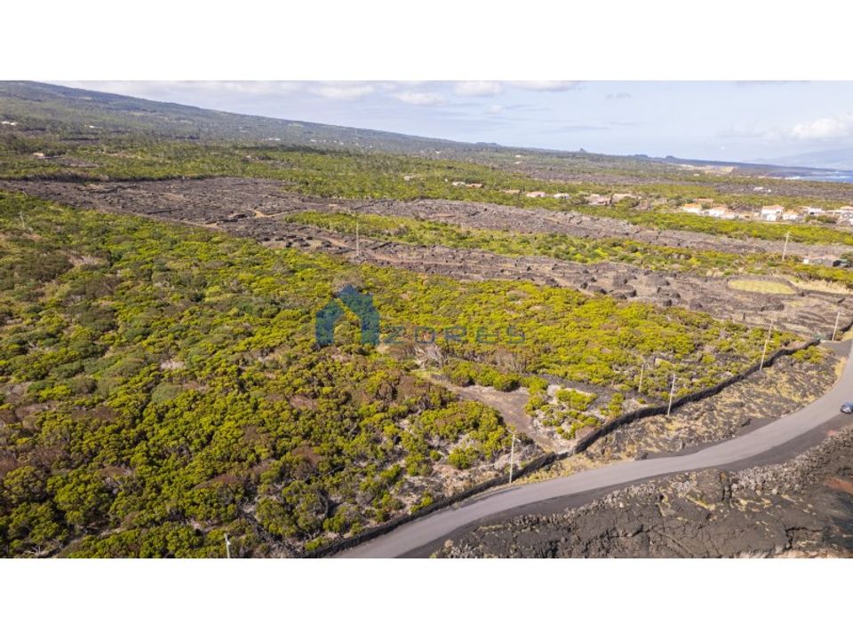 Helårsgrund i Santa luzia, Pico - foto 4