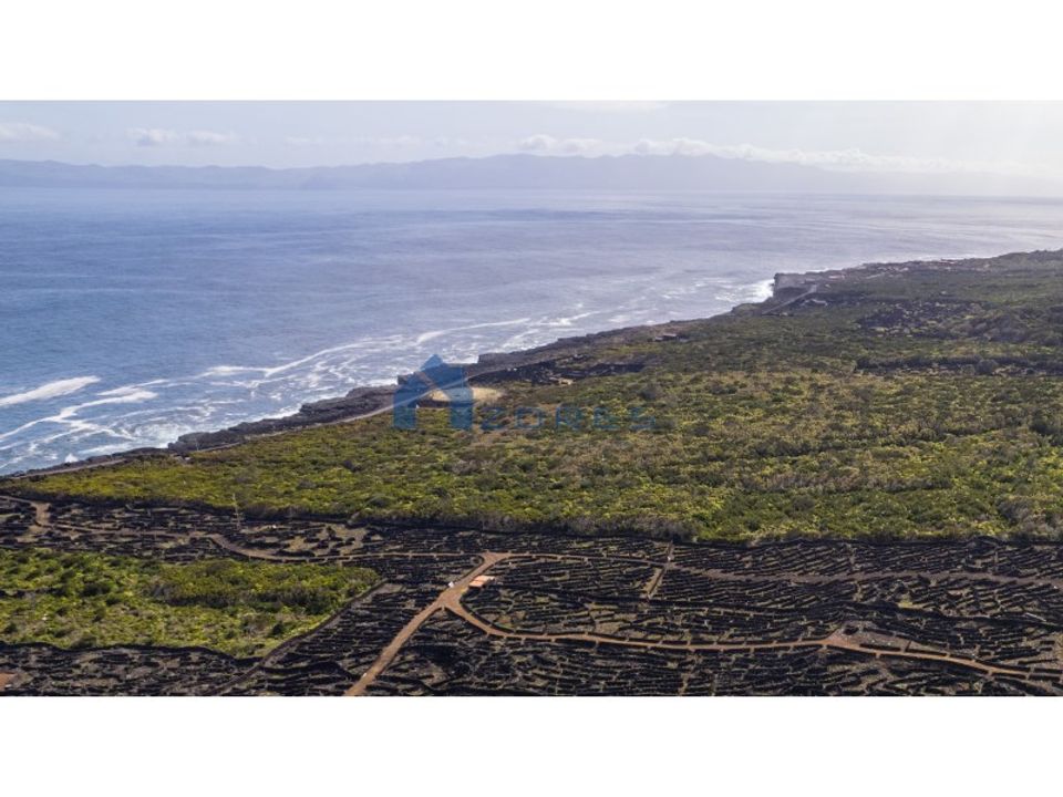 Helårsgrund i Santa luzia, Pico - foto 5