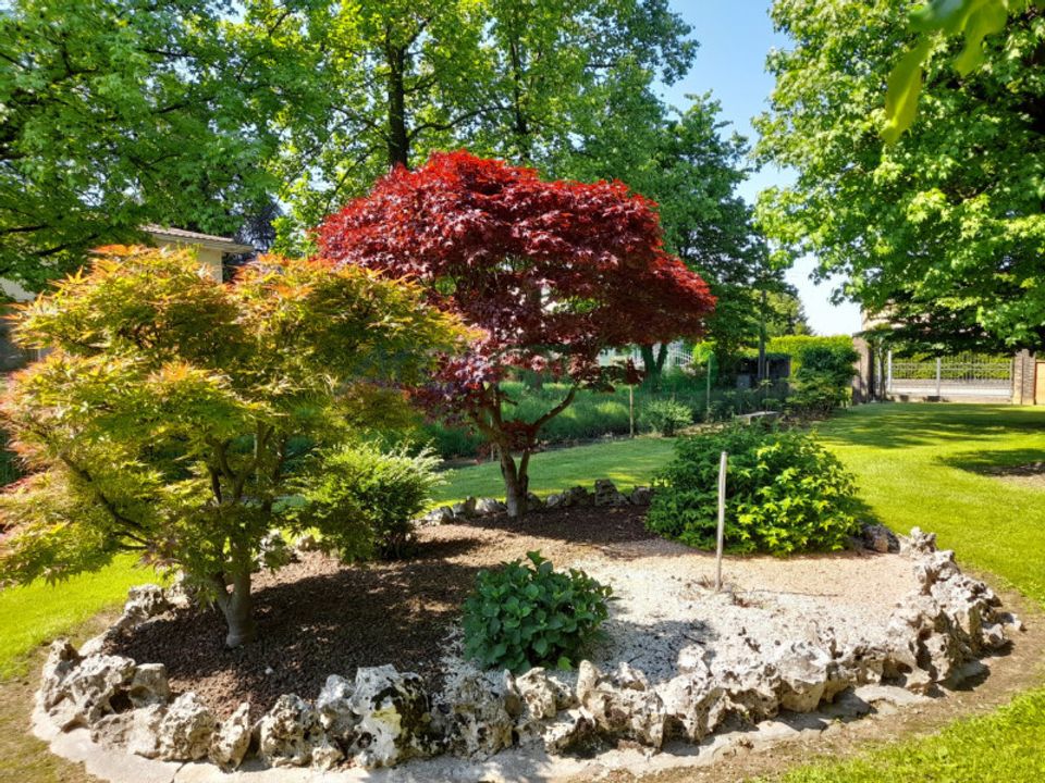 Villa i Quinto Vicentino, Vicenza - foto 3