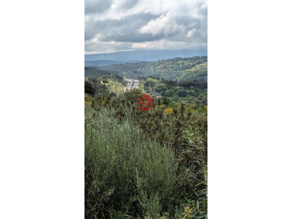 Farm i Fornos de Algodres, Guarda - foto 1