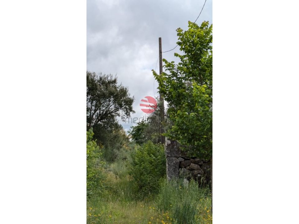Farm i Fornos de Algodres, Guarda - foto 3