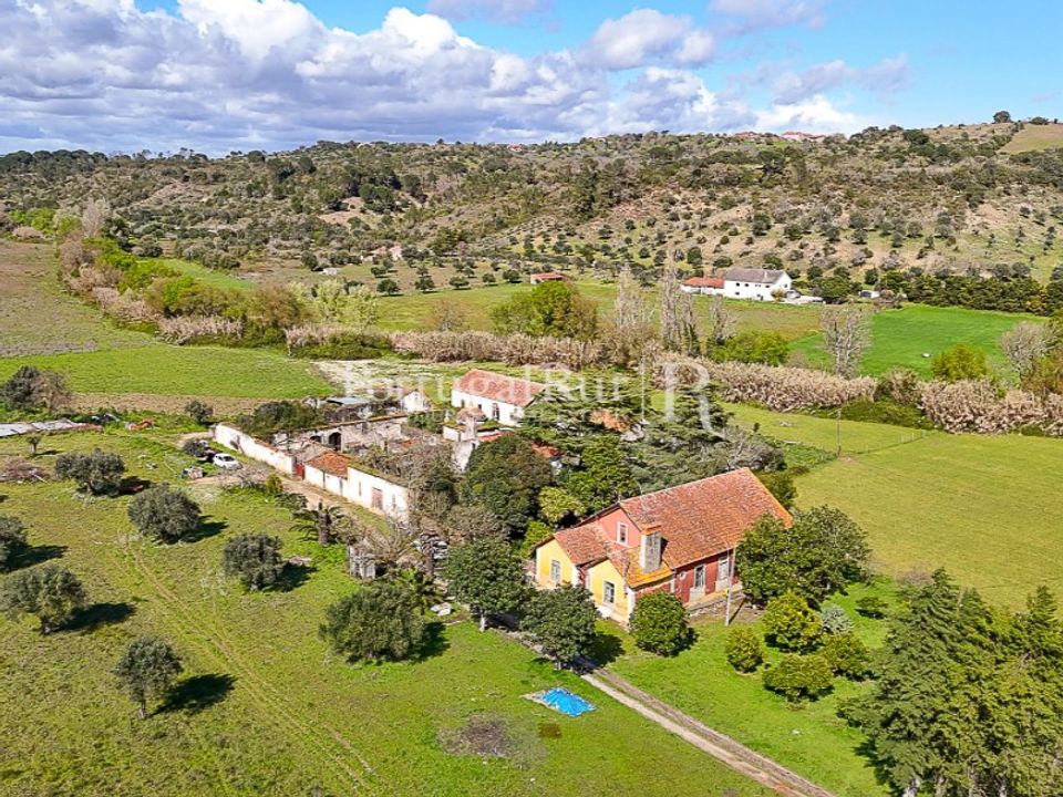 Farm i Torres Novas, Santarem - foto 1