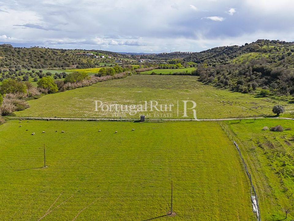 Farm i Torres Novas, Santarem - foto 4