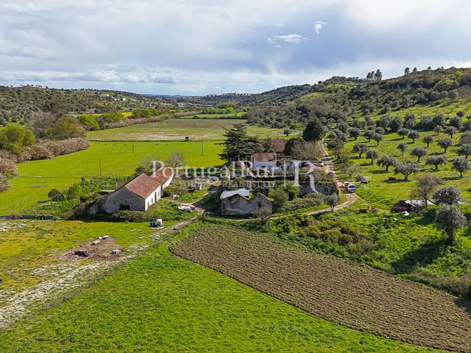 Farm i Torres Novas, Santarem - foto 5