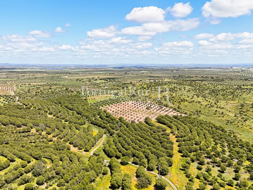 Casa de campo en Moura, Beja - foto 4