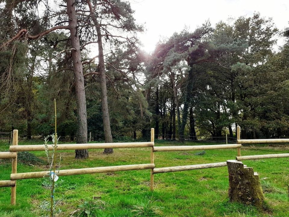 Erhvervsejendom i Malguénac, Morbihan - foto 4